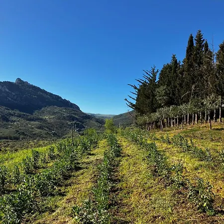 Le Case Di Cardellino - Agrispa Sclafani