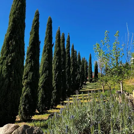 Farm stay Le Case Di Cardellino - Agrispa