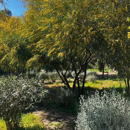 Le Di Cardellino - Agrispa Alloggio per agriturismo