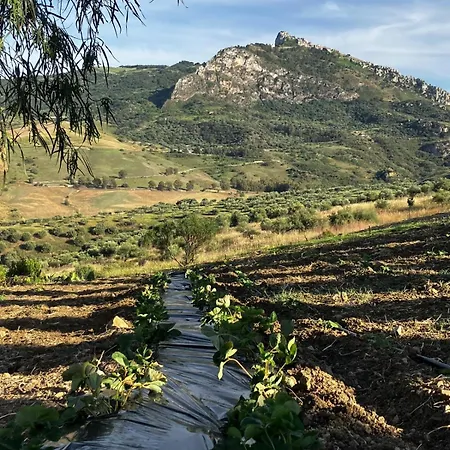 Farm stay Le Case Di Cardellino - Agrispa